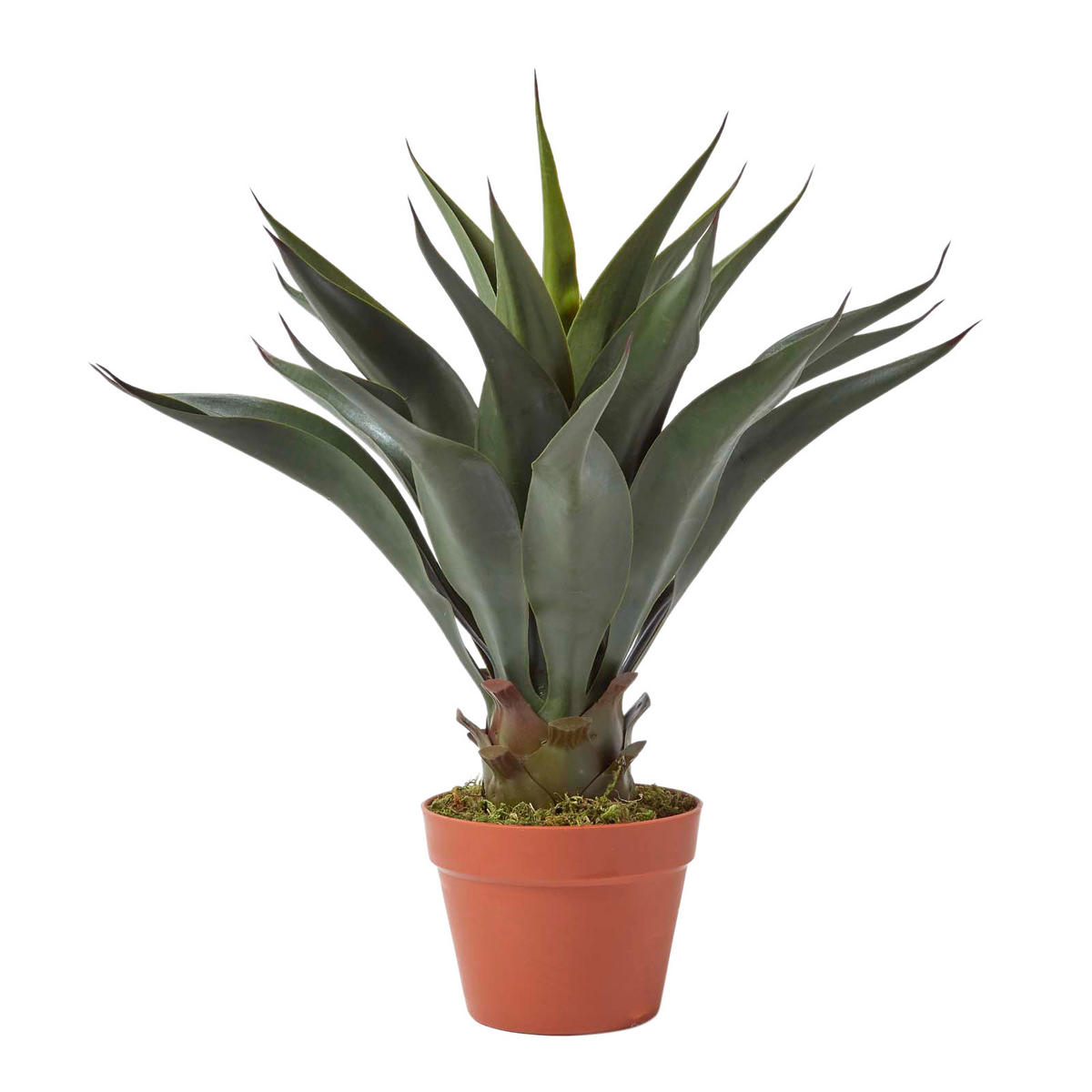 KUNSTPFLANZE Agave, 60 cm - Grün, Kunststoff (60cm) - Homescapes