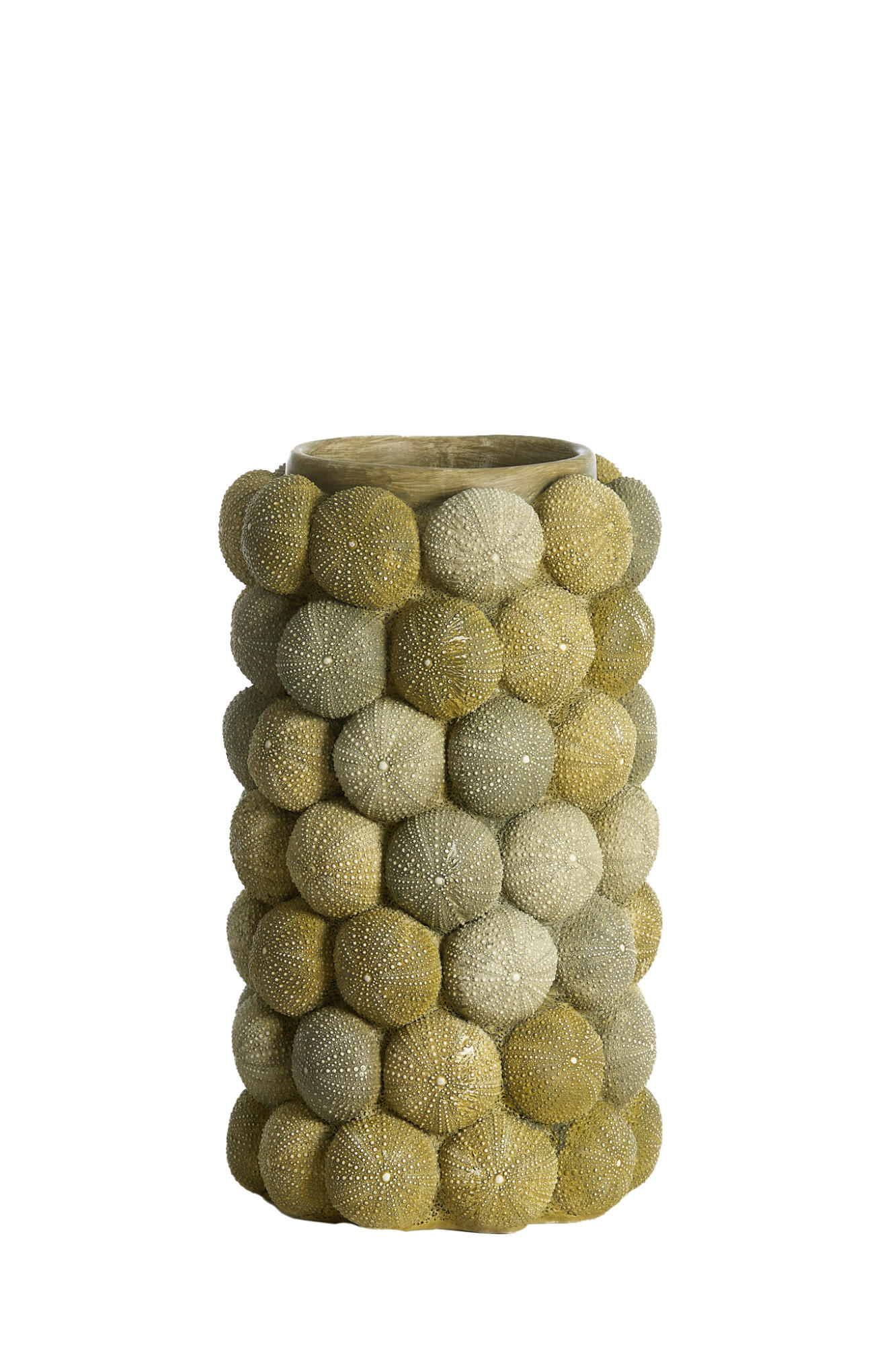 VASE Seeigel Grün Ø19/32,5 cm - Grün, Kunststoff (32.5cm) - Light & Living