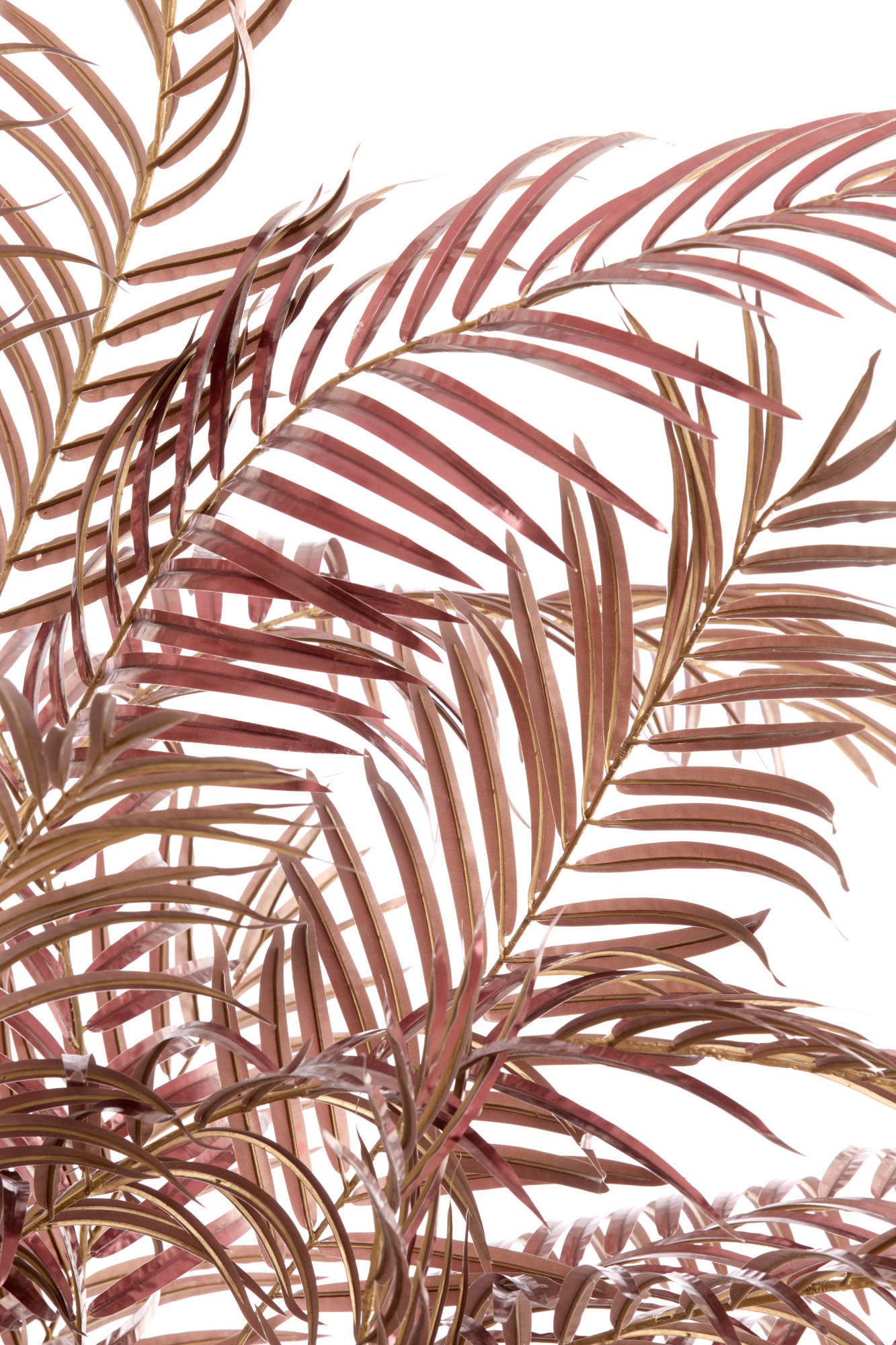 TOPF Palme Rot 198/160/198 cm - Rot, Kunststoff (198cm) - Light & Living