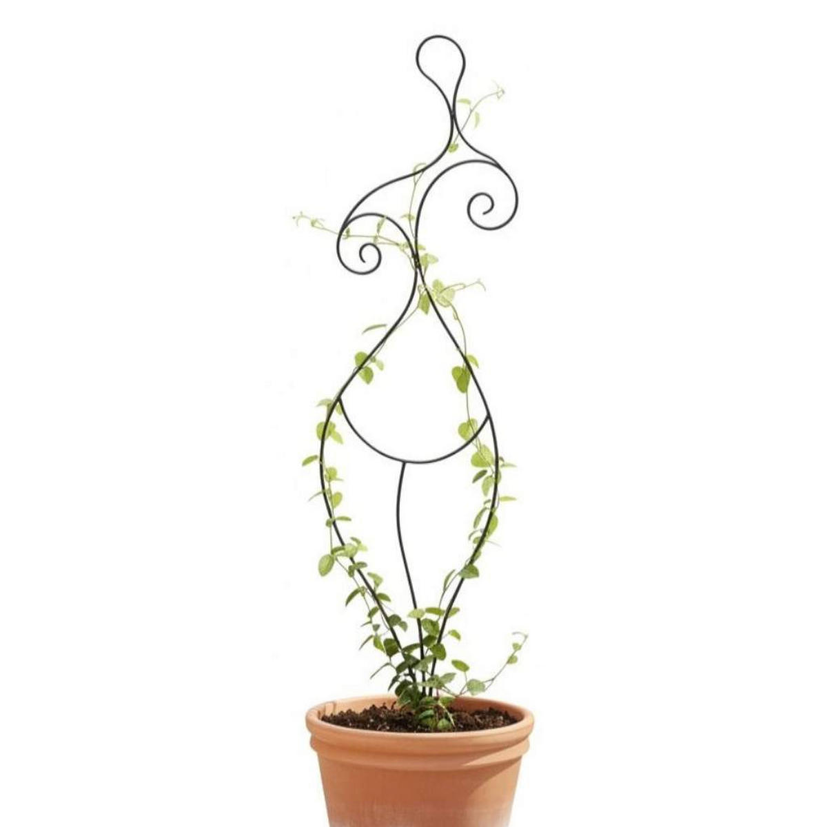 DANDIBO Design Rankhilfe Metall Rankgitter 140 cm Schwarz Frau Lora Kletterhilfe Bodenstecker Blumenhalter Ranksäule - Schwarz, Metall (35/140/1.5cm) - DanDiBo