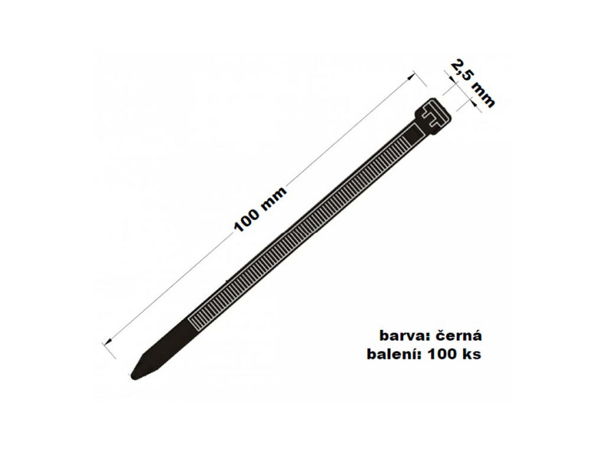 WEIHNACHTSKABELBINDER 100er-Set für Weihnachtsschmuck 2,5 × 100 mm schwarz - Schwarz, Kunststoff (0.25/0.1/10cm) - LAALU
