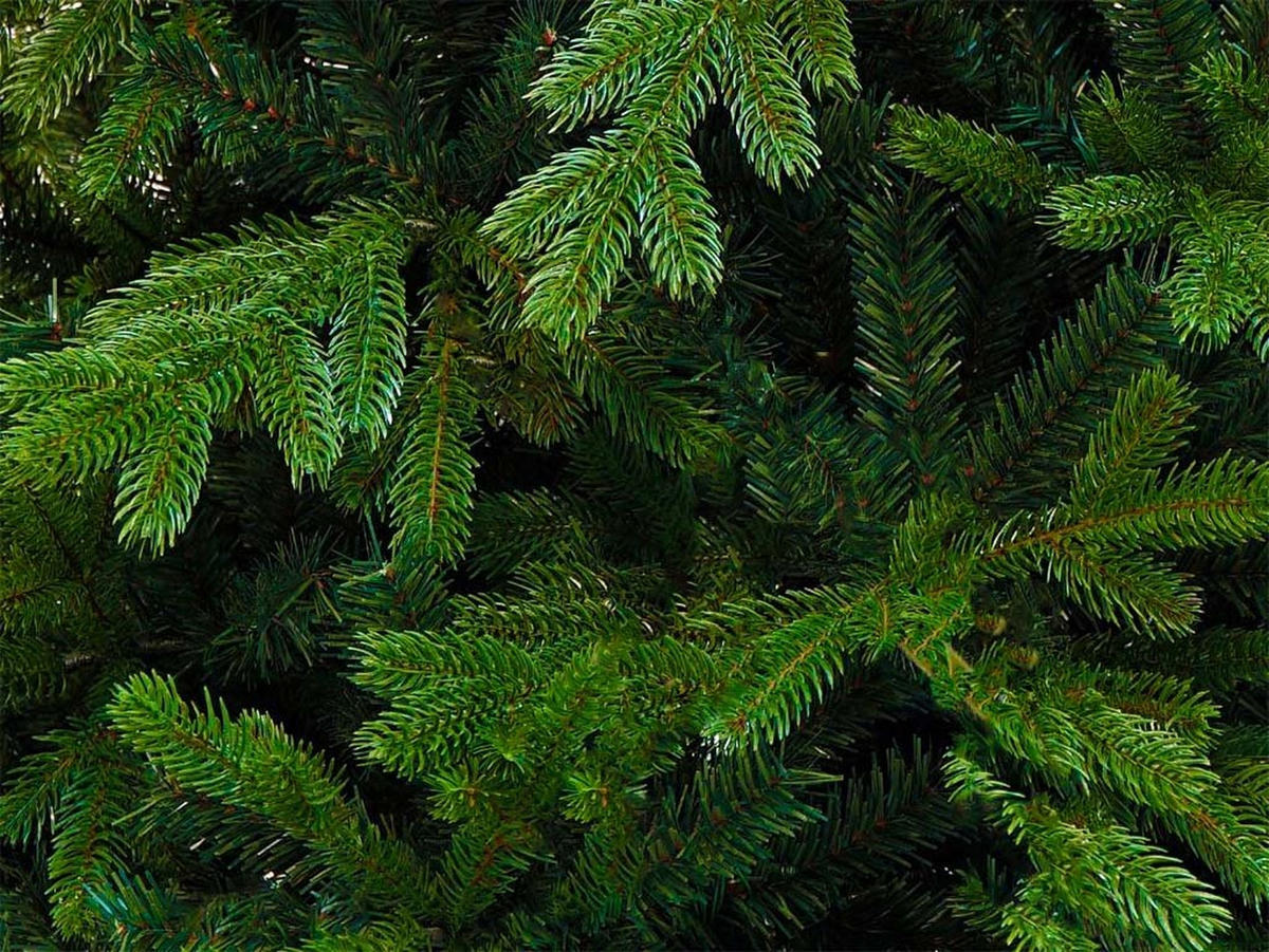 LAALU WEIHNACHTSBAUM geschmückt künstlich mit 74 Ornamenten BASIC GOLD 500 cm Baum mit Ständer und Weihnachtsornamenten - Goldfarben/Grün, Kunststoff (500cm) - LAALU