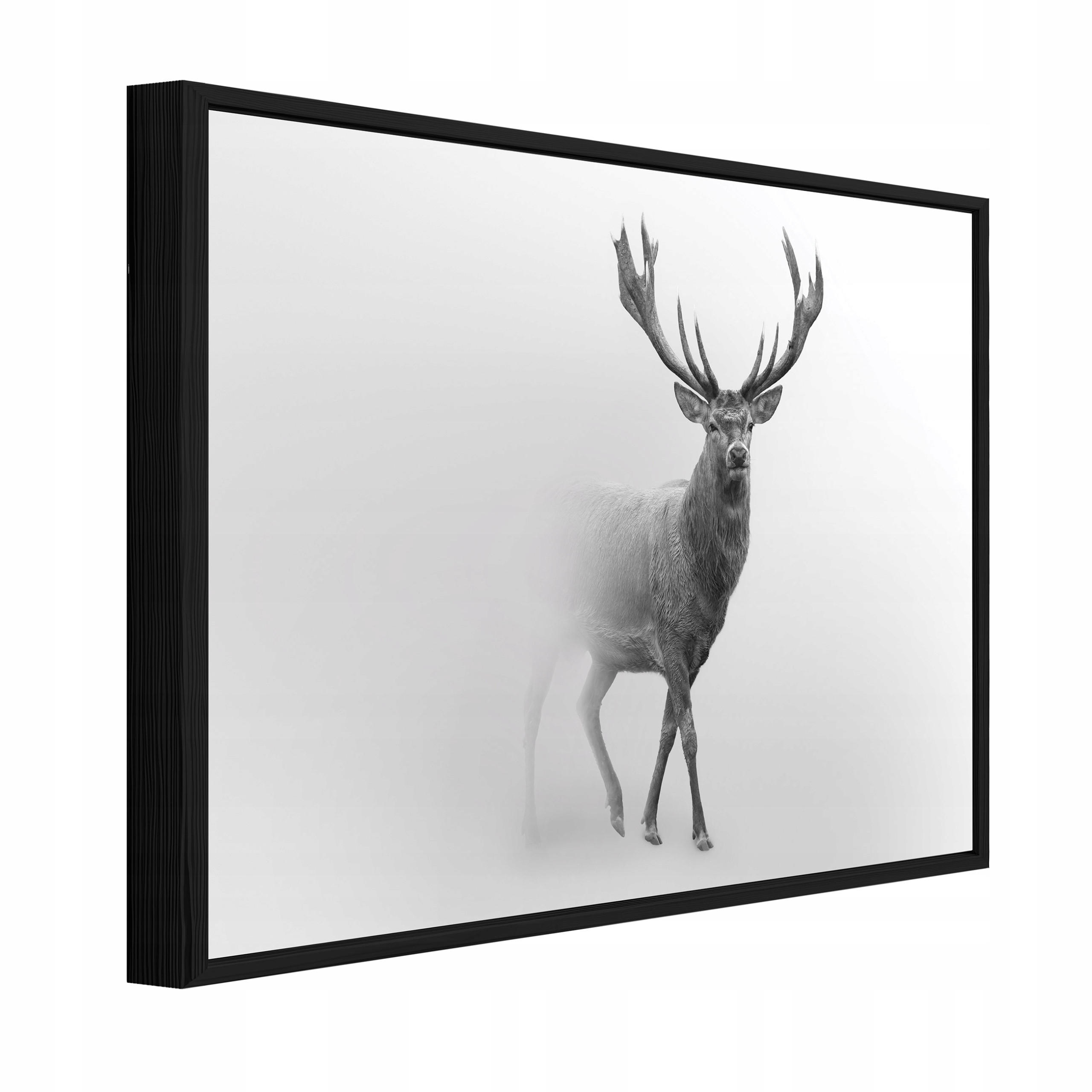 BILDER mit Rahmen Reh Nebel Grau 60x40 cm - Multicolor, Holzwerkstoff (60/40cm) - Wallarena