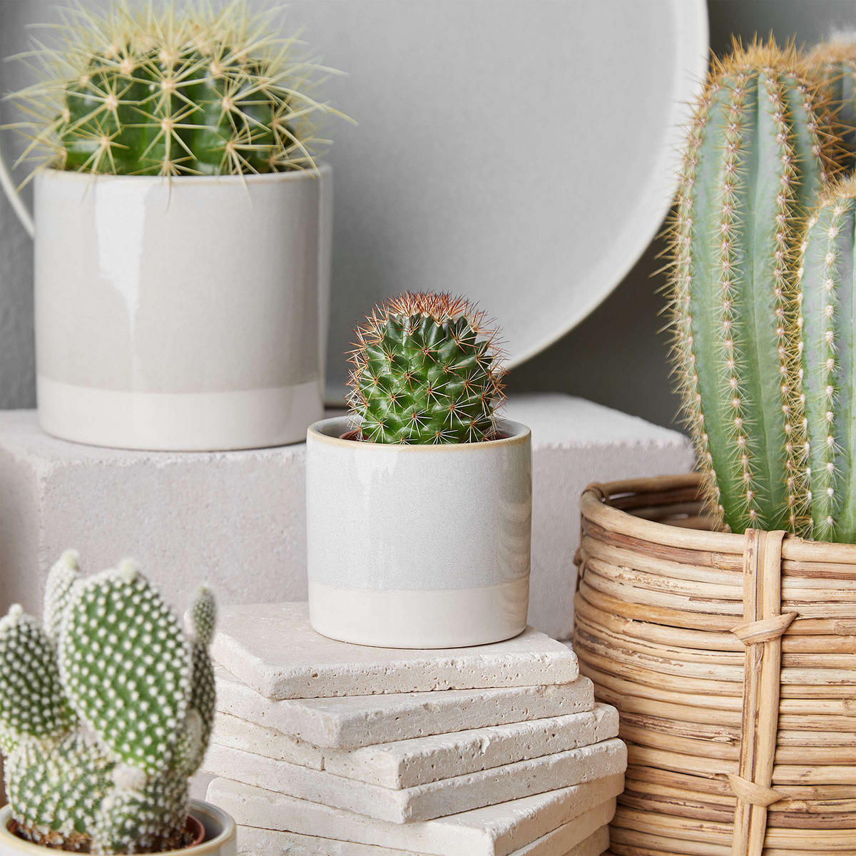 BLUMENTOPF (6er Set) Early Spring - Grau, Keramik (10cm) - BUTLERS