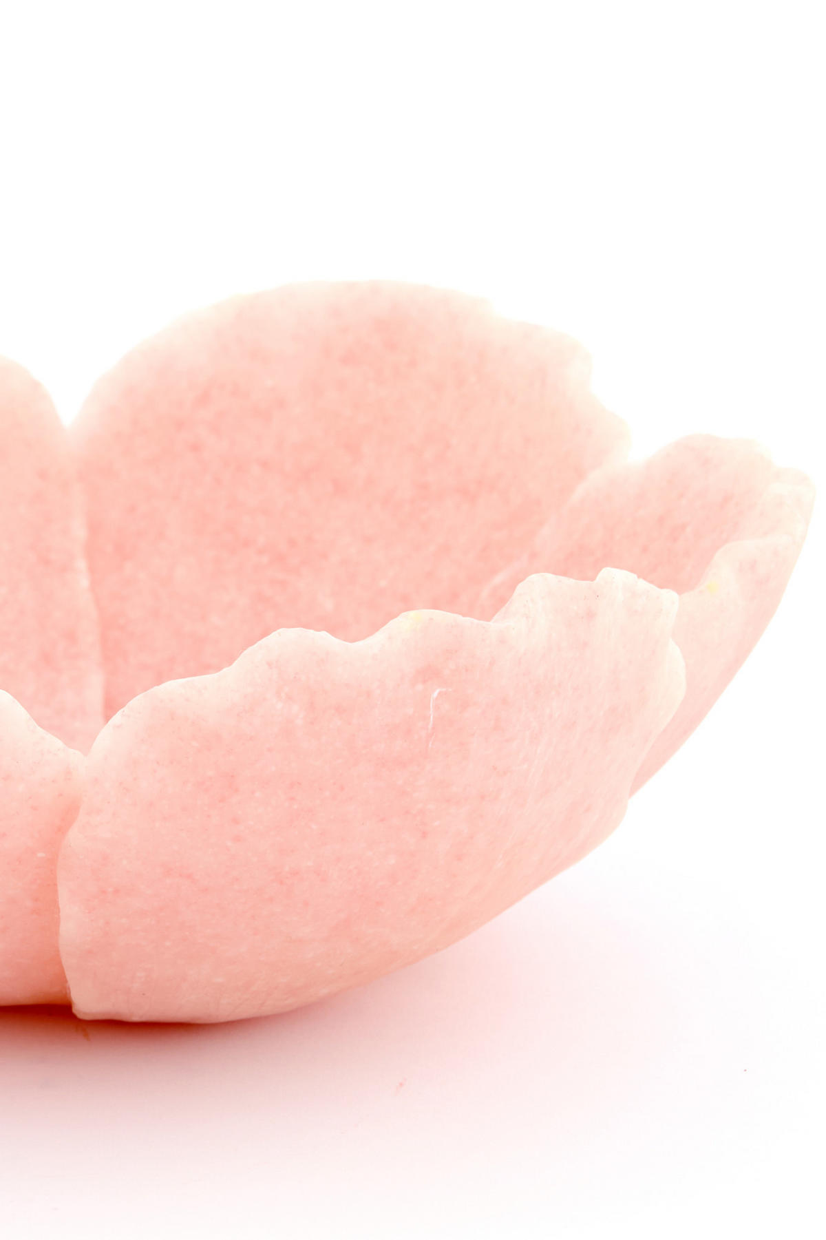 SCHALE Freesia Rosa Ø25,5/9,5 cm - Pink, Kunststoff (9.5cm) - Light & Living