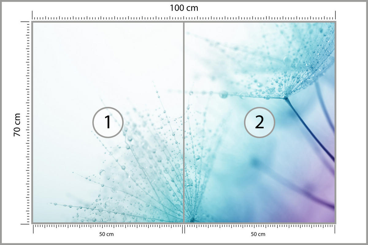 FOTOTAPETE für Badezimmer Leuchtende Löwenzahnblüten Wassertropfen Blau 100x70 - Türkis/Blau, Papier (100/70cm) - Muralo
