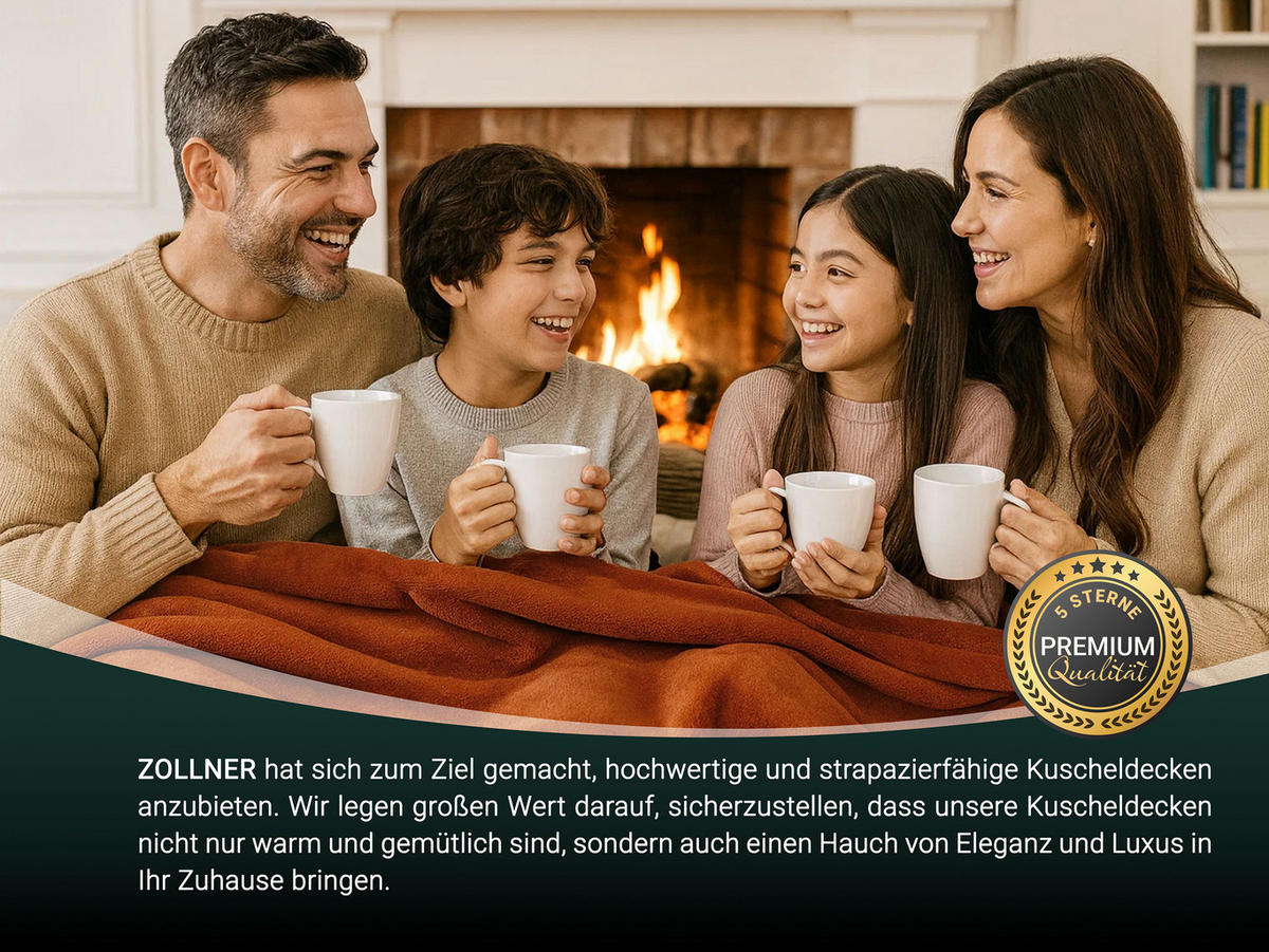 KUSCHELDECKE, 220x240 cm, 100% Polyester - Terracotta, Textil (220/240cm) - Zollner