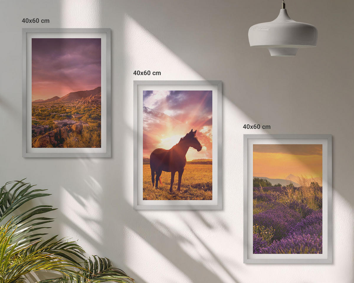 WANDBILDER 3er Set - 40x60 cm Silberner Rahmen - Berglandschaft mit einem Pferd - Silberfarben, Kunststoff (40/60cm) - ArtPrintCave