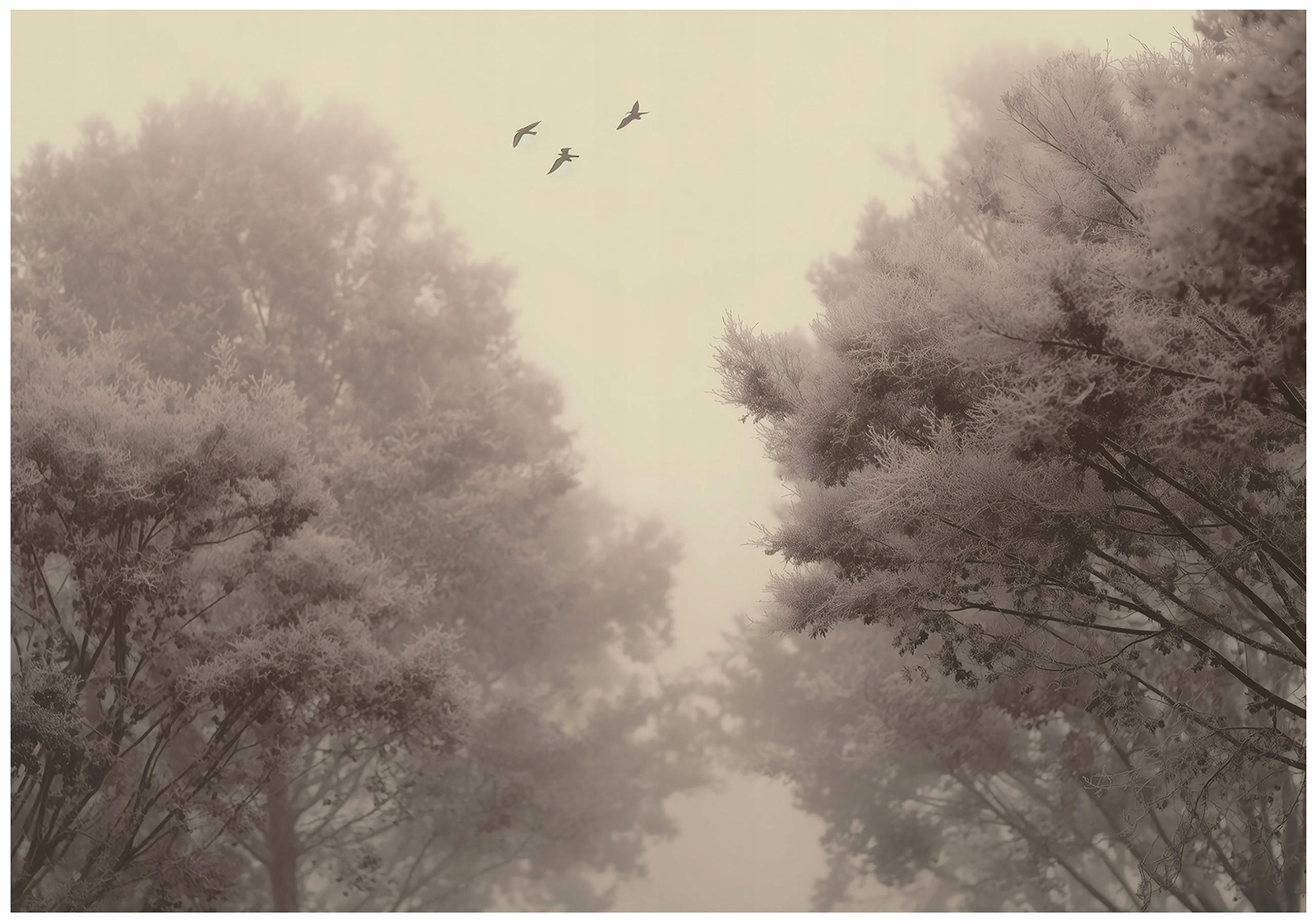 FOTOTAPETE Wald Bäume Beige 250x175 cm - Multicolor, Papier (250/175cm) - Wallarena