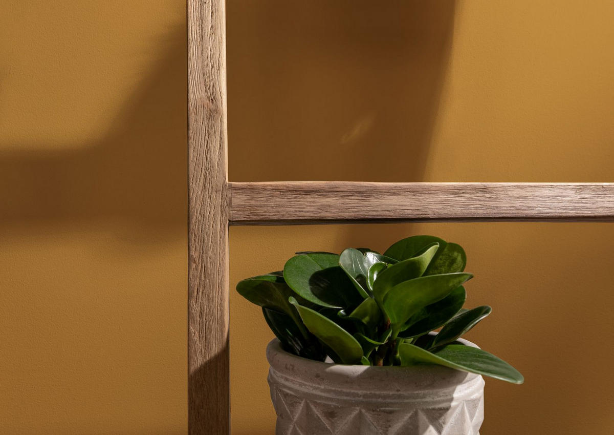 DEKOLEITER Teak 50x5x180 natur unbehandelt BASSANO #134 - Braun, Holzwerkstoff (50/180/5cm) - Massivmoebel24