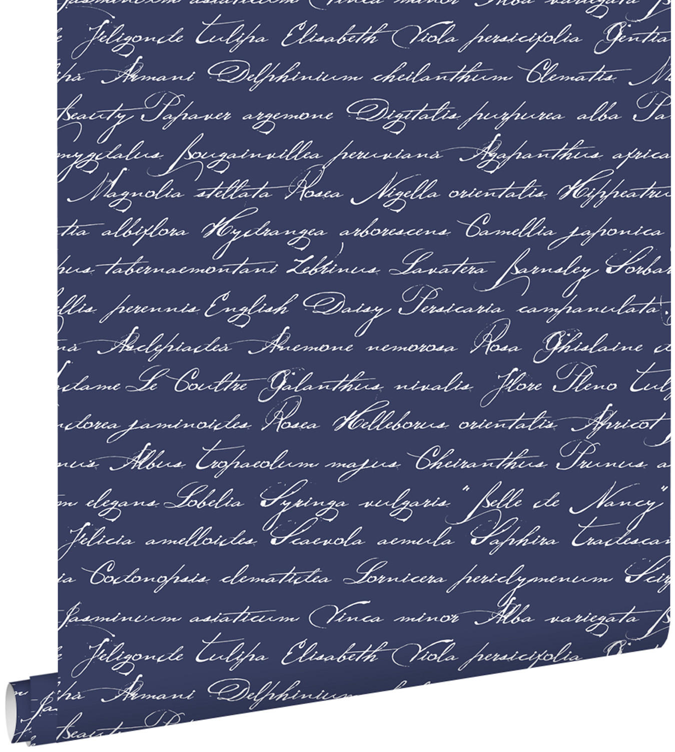TAPETE handgeschriebene lateinische Blumennamen 53 cm x 10.05 m - Blau, Papier (53/1000cm) - ESTAhome