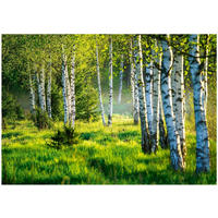 FOTOTAPETE Wald Baume Vliestapete Tapete 200x140 - Multicolor, Papier (200/140cm) - Wallarena