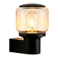 AUSSENWANDLEUCHTE Drisal 13.5/11/18.4 cm - Schwarz, Glas/Metall (11/18.4/13.5cm) - ZMH