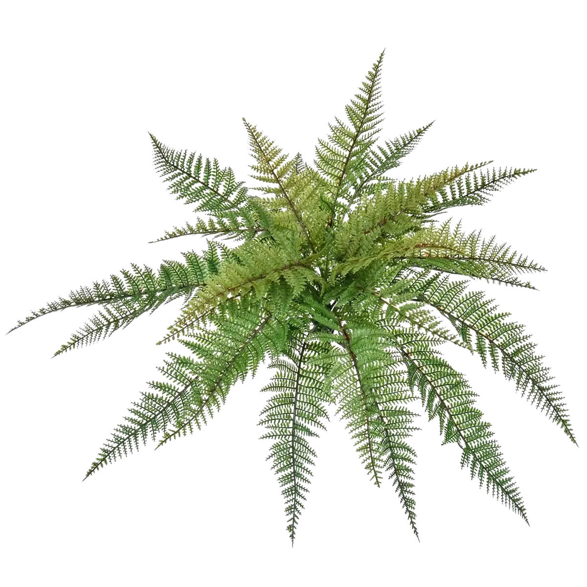 KUNSTPFLANZE Künstlicher Farn - Sieglinde 48 cm - Grün, Kunststoff (48cm) - aplanta