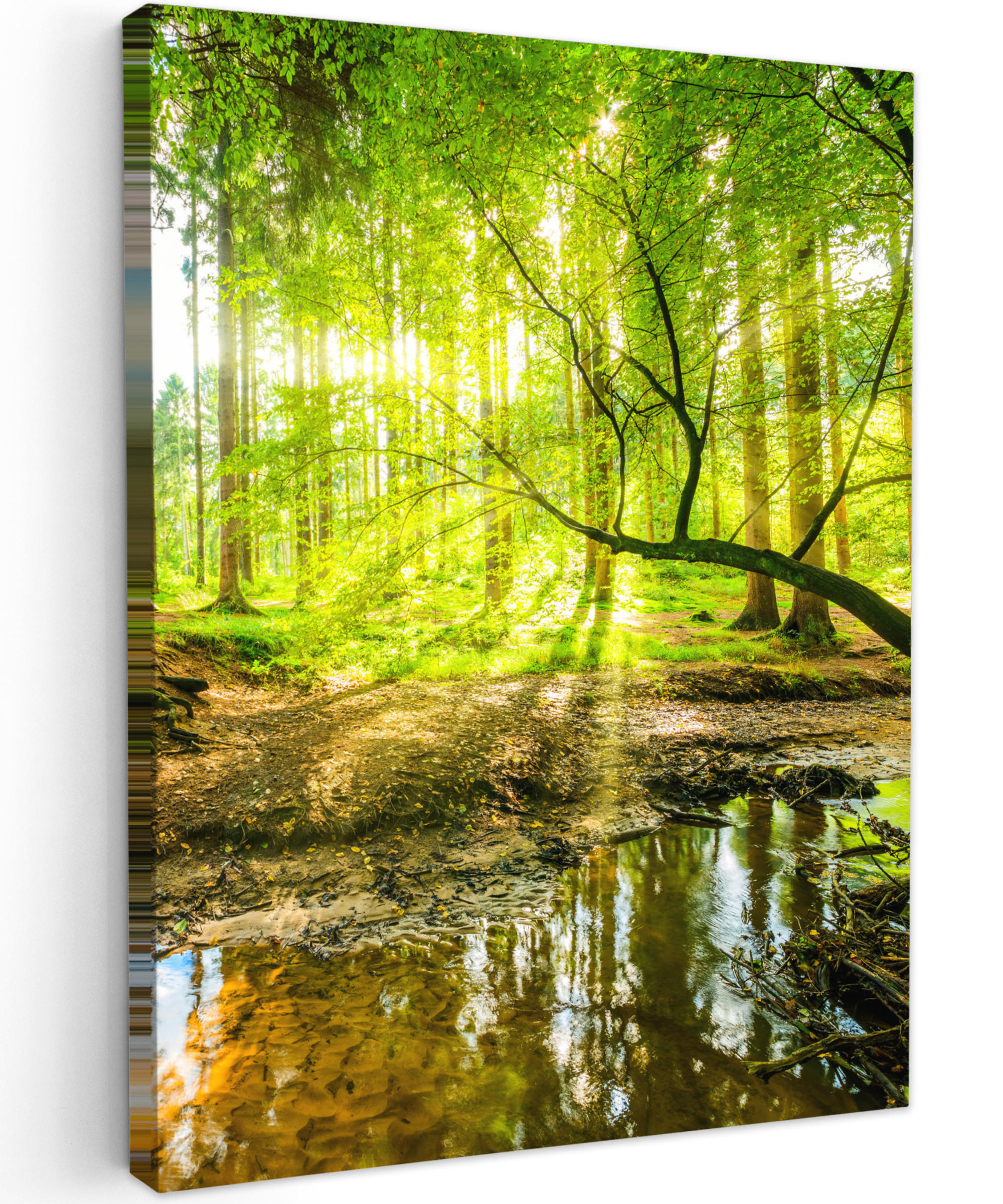 LEINWANDBILD Wald - Landschaft - Wasser - Bäume - Sonne - Grün - Natur 60x80 cm - Grün, Textil (60/80cm) - MuchoWow