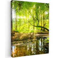 LEINWANDBILD Wald - Landschaft - Wasser - Bäume - Sonne - Grün - Natur 30x40 cm - Grün, Textil (30/40cm) - MuchoWow