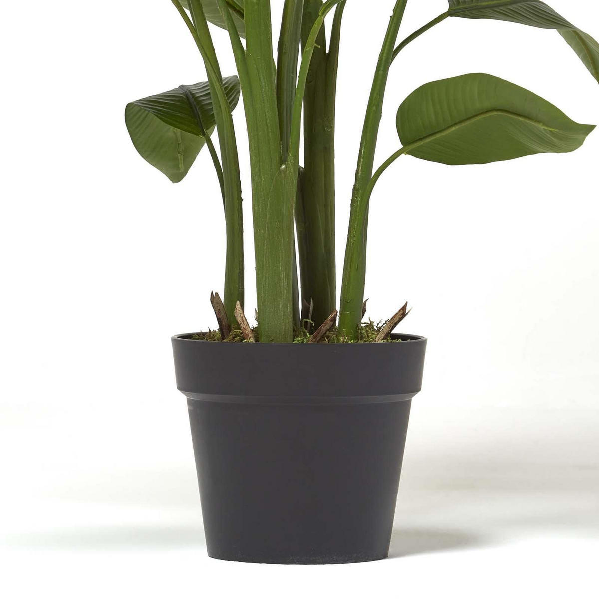 KUNSTPFLANZE Heliconia, 140 cm - Grün, Kunststoff (140cm) - Homescapes