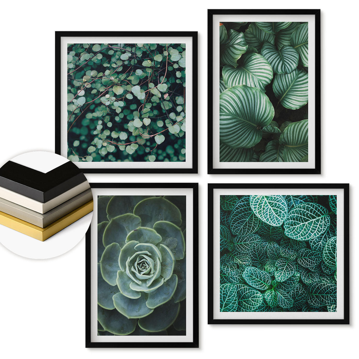 WANDBILDER 4er-Set - 50x50 cm & 40x60 cm Schwarzer Rahmen - Grüne, saftige Blätter - Schwarz, Kunststoff (50/50cm) - ArtPrintCave