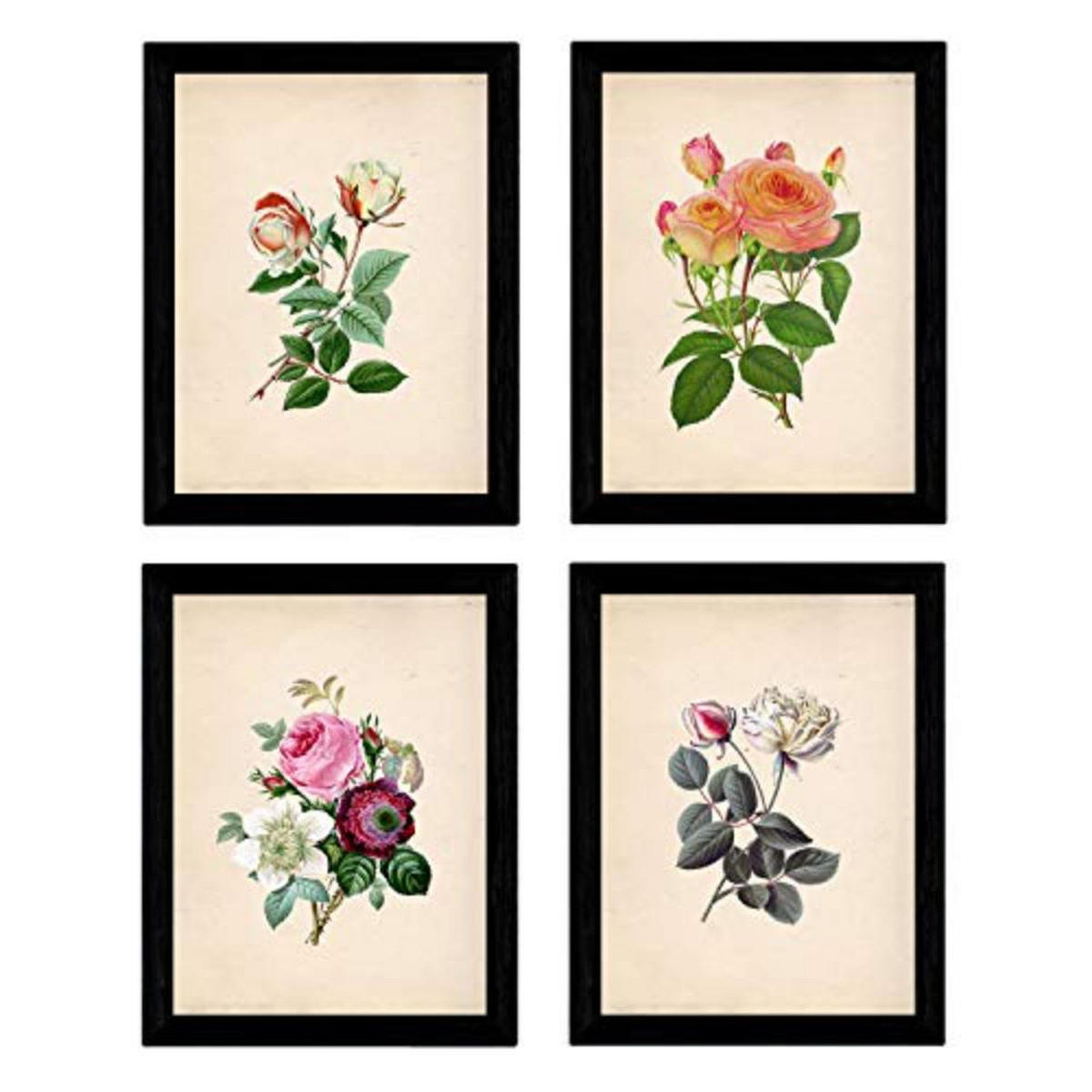 POSTER Set mit 4 Botanische Papier Hintergrund Rosen A3 Rahmenlos - Klar, Papier (29.7/3cm) - Nacnic