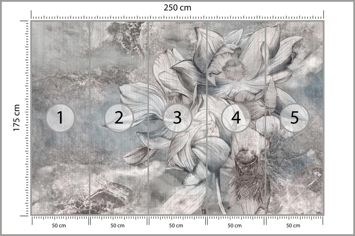 FOTOTAPETE für Wohnzimmer Wunderschöne Blume Betonwand Retro 250x175 - Grau, Papier (250/175cm) - Muralo