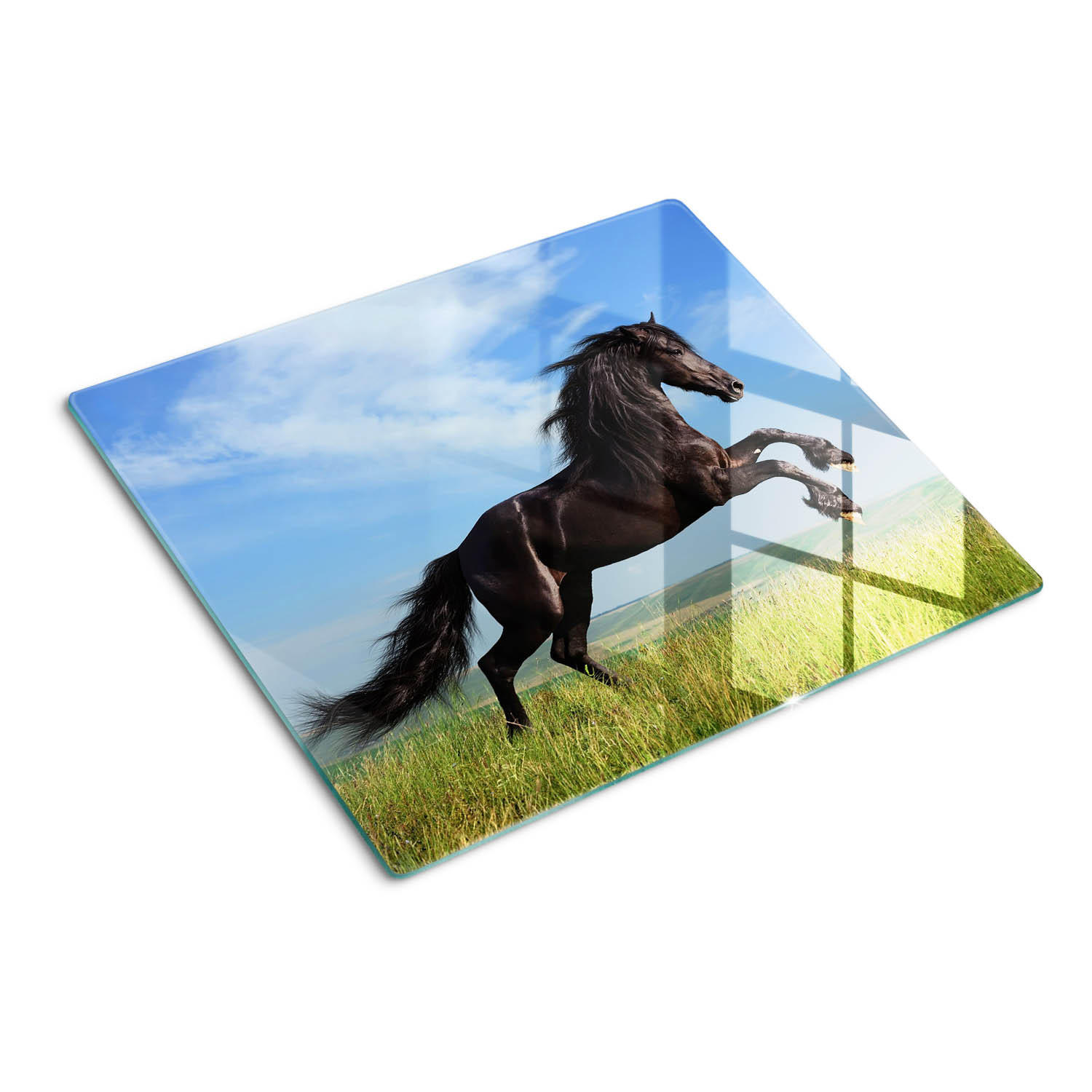 GLASPLATTE 60x52 cm Schwarzes Pferd auf der Wiese - Hellblau, Glas (60/52cm) - TULUP