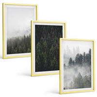 BILDER SET 3er Set - 40x60 cm Goldrahmen - Grüne Wälder Nebel Natur - Goldfarben, Kunststoff (40/60cm) - TULUP