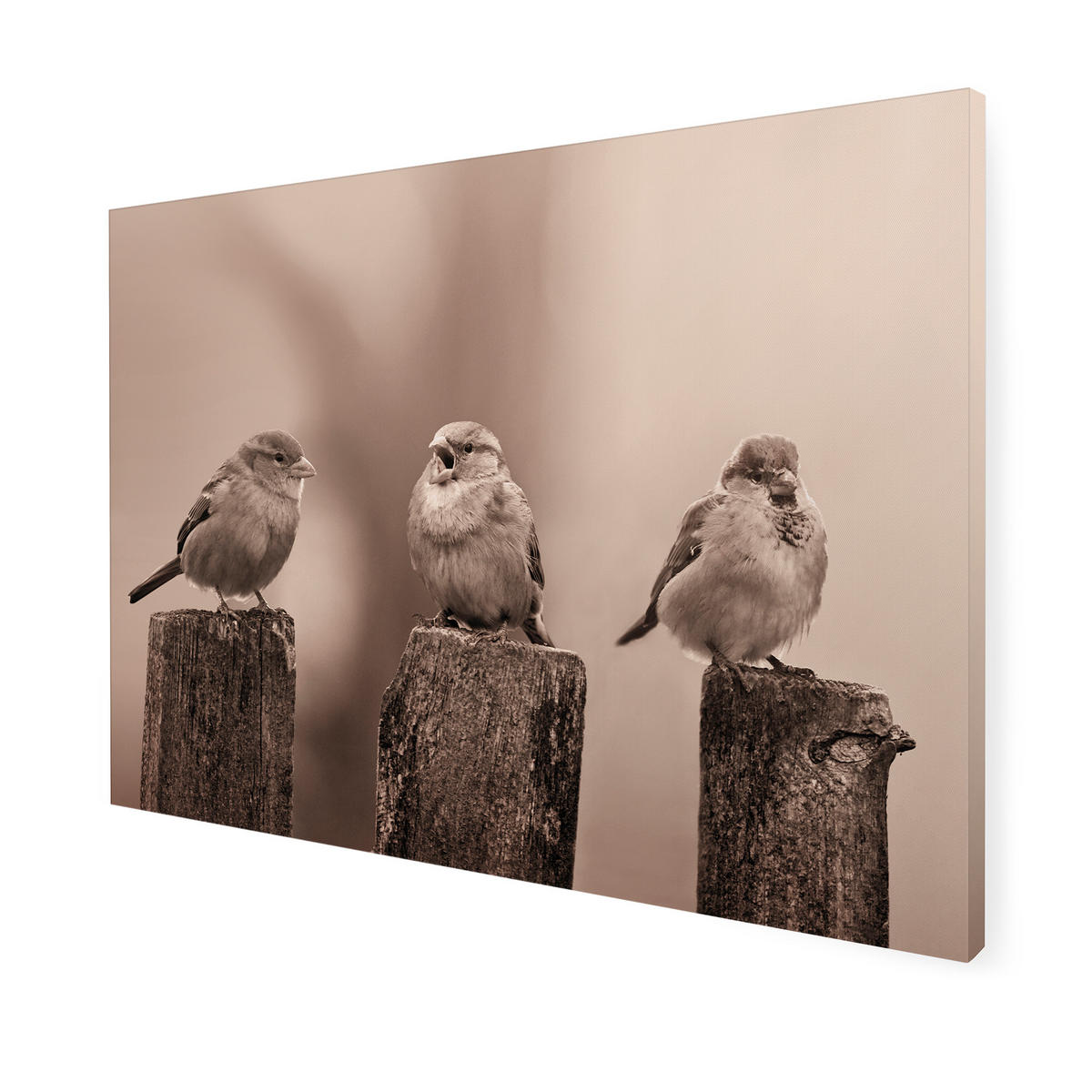 LEINWANDBILD Frühe Vögel - Sepia - 50x70cm - Braun, Textil (70/50cm) - Art for the Home