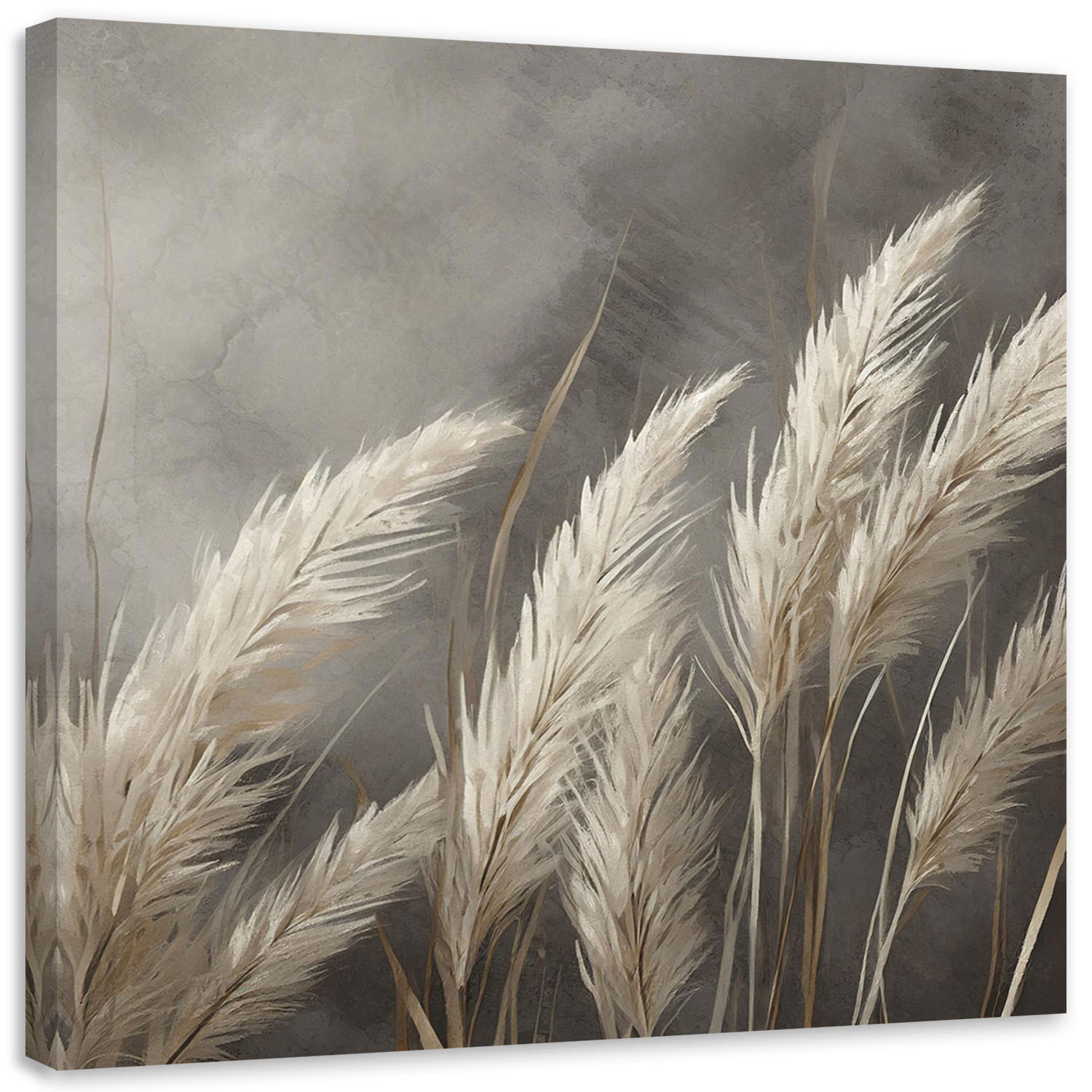 WANDBILD gras natur botanik beige - Grau, Textil (50/50cm) - Feeby