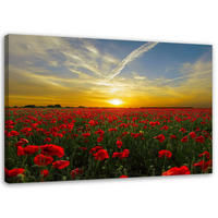 LEINWANDBILD Wiese voller roter Mohnblumen in der Sonne - Multicolor, Textil (60/40cm) - Feeby