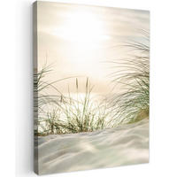 LEINWANDBILD Dünen mit Strandhafer in der Sonne des Nationalparks Schleswig-Holsteinisches Wattenmeer 30x40 cm - Creme, Textil (30/40cm) - MuchoWow