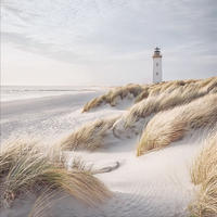 GLASBILD 30×30 cm Strand - Beige, Glas (30/30cm) - artissimo