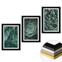 WANDBILDER 3er-Set - 20x30 cm Schwarzer Rahmen - Sukkulenten - Schwarz, Kunststoff (20/30cm) - ArtPrintCave