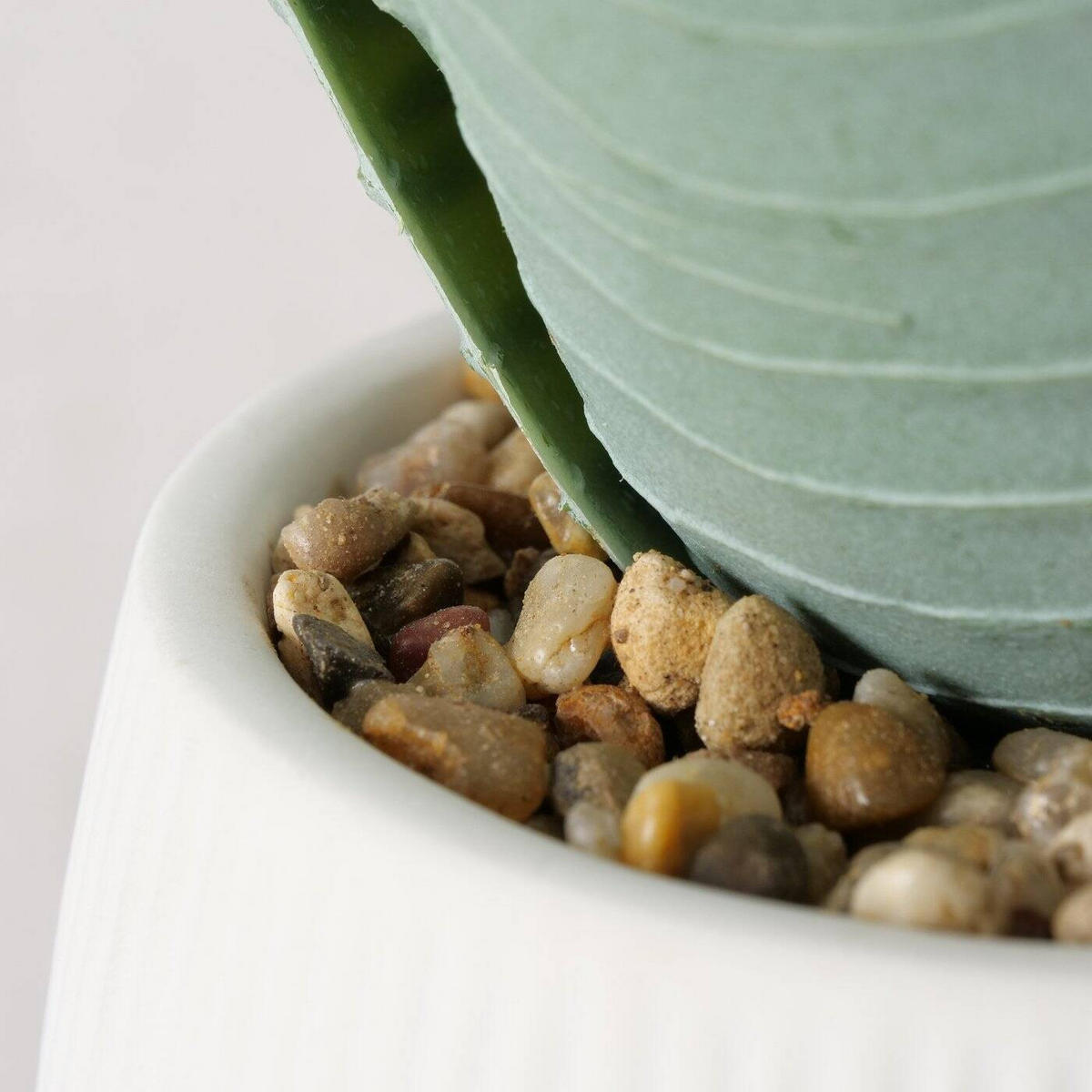 KÜNSTLICHE ALOE-PFLANZE Mondrago 29 cm - Hellgrün, Kunststoff (29cm) - Boltze Home