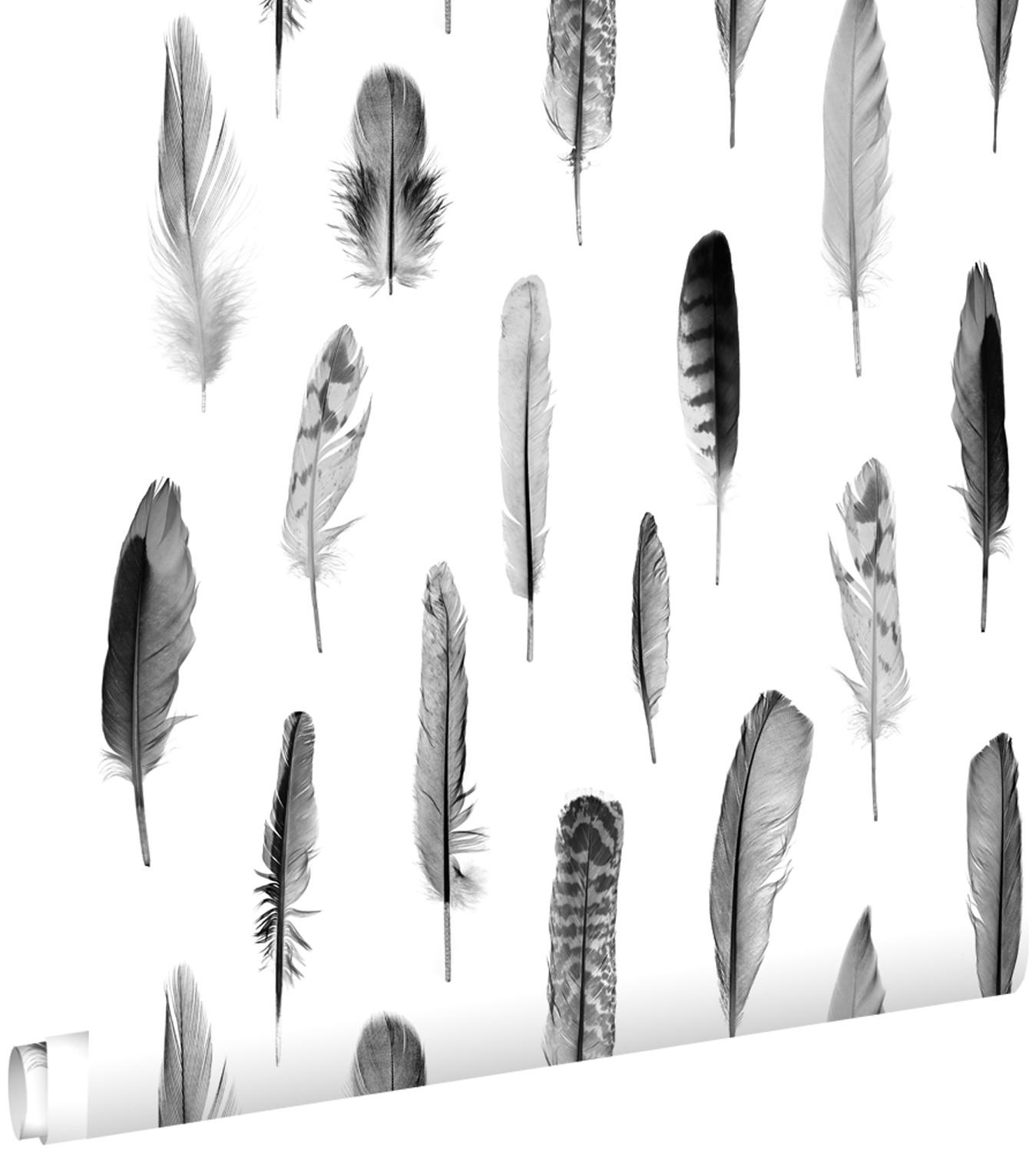 TAPETE Federn 53 cm x 10.05 m - Schwarz, Papier (53/1000cm) - ESTAhome