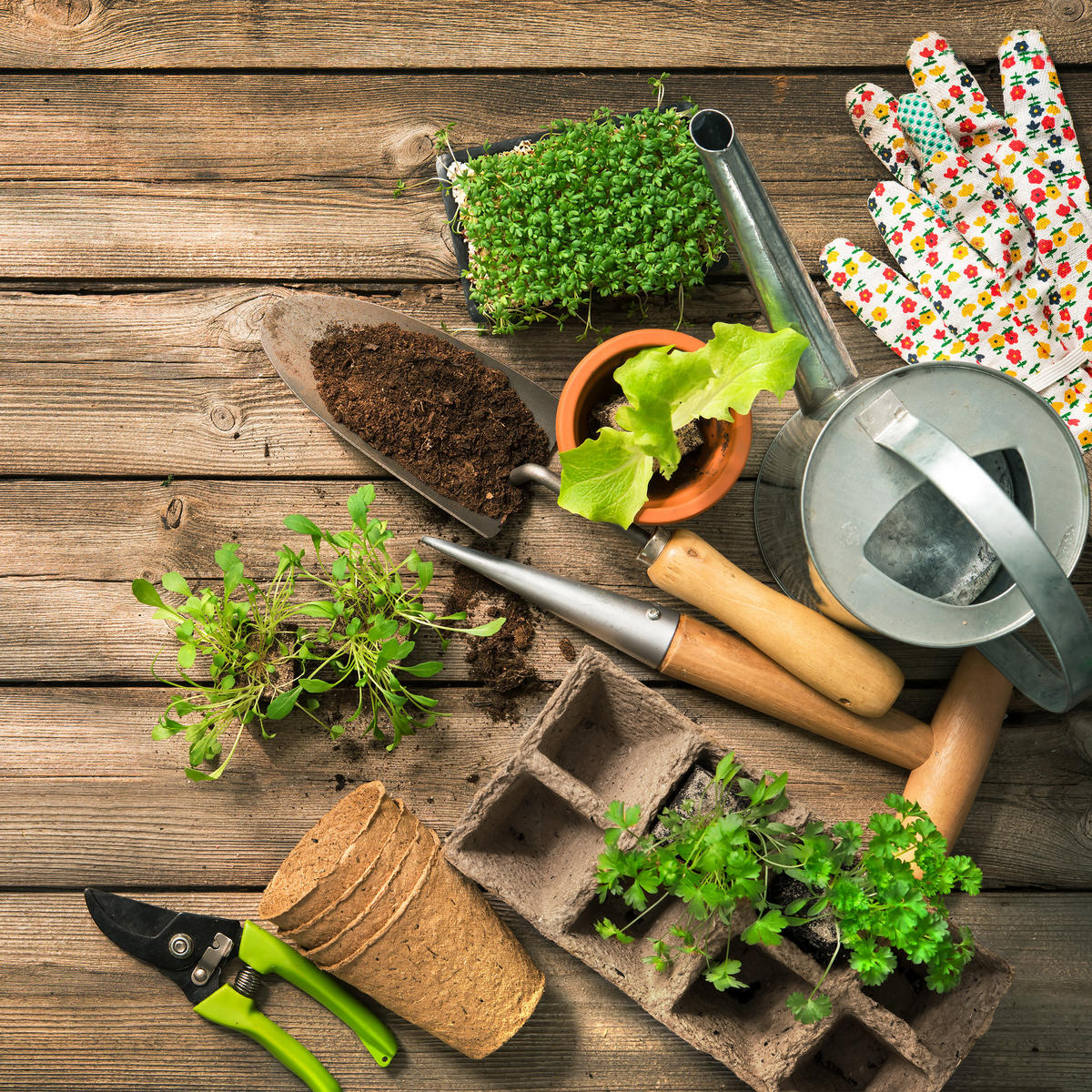 ANZUCHTTÖPFE - Hellbraun, Papier (22/5.5/8.5cm) - Relaxdays