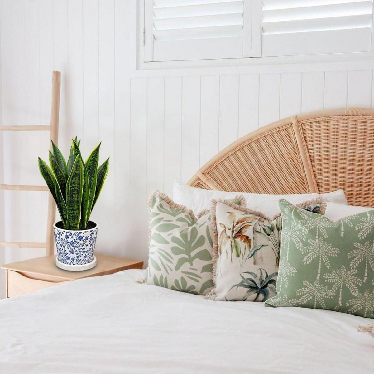 KUNSTPFLANZE Sansevieria mit Keramiktopf Weiß/Blau 40.6 cm - Multicolor, Keramik (40cm)