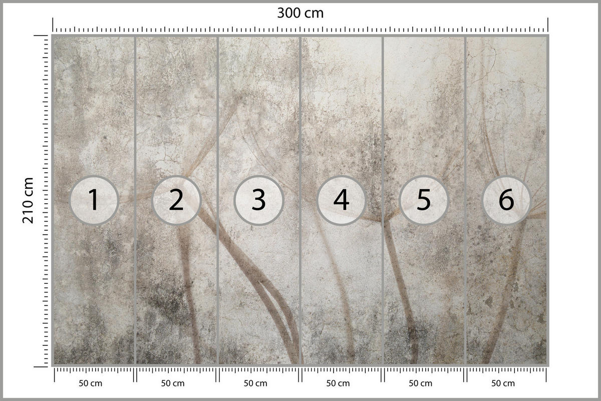 FOTOTAPETE für Wohnzimmer Zarter Skizze Löwenzahn Grauer Beton Minimalistisch 300x210 - Beige/Braun, Papier (300/210cm) - Muralo