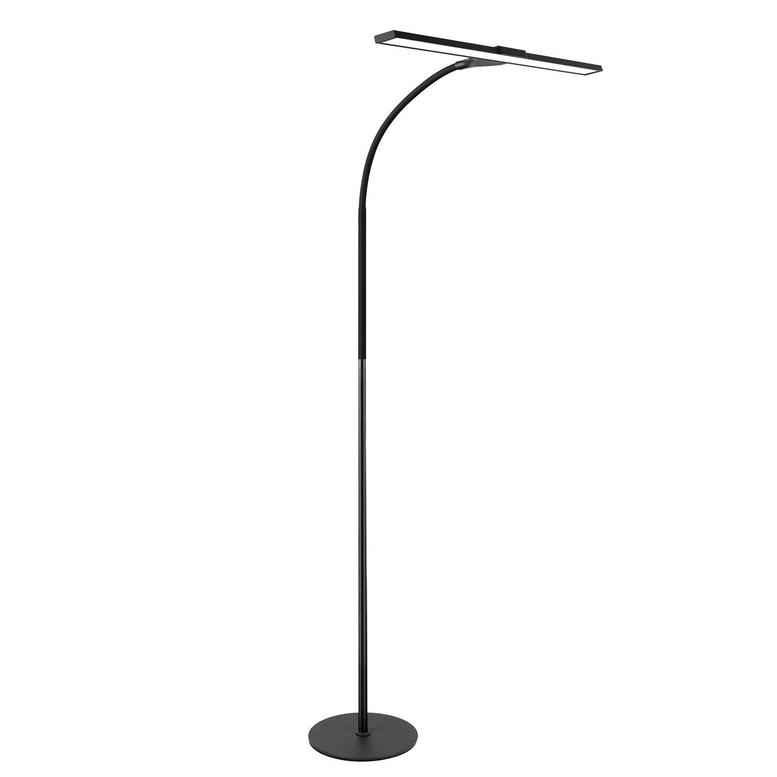 STEHLEUCHTE Nürnberg 46/22/156 cm - Schwarz, Metall (26/20/110cm) - Nettlife