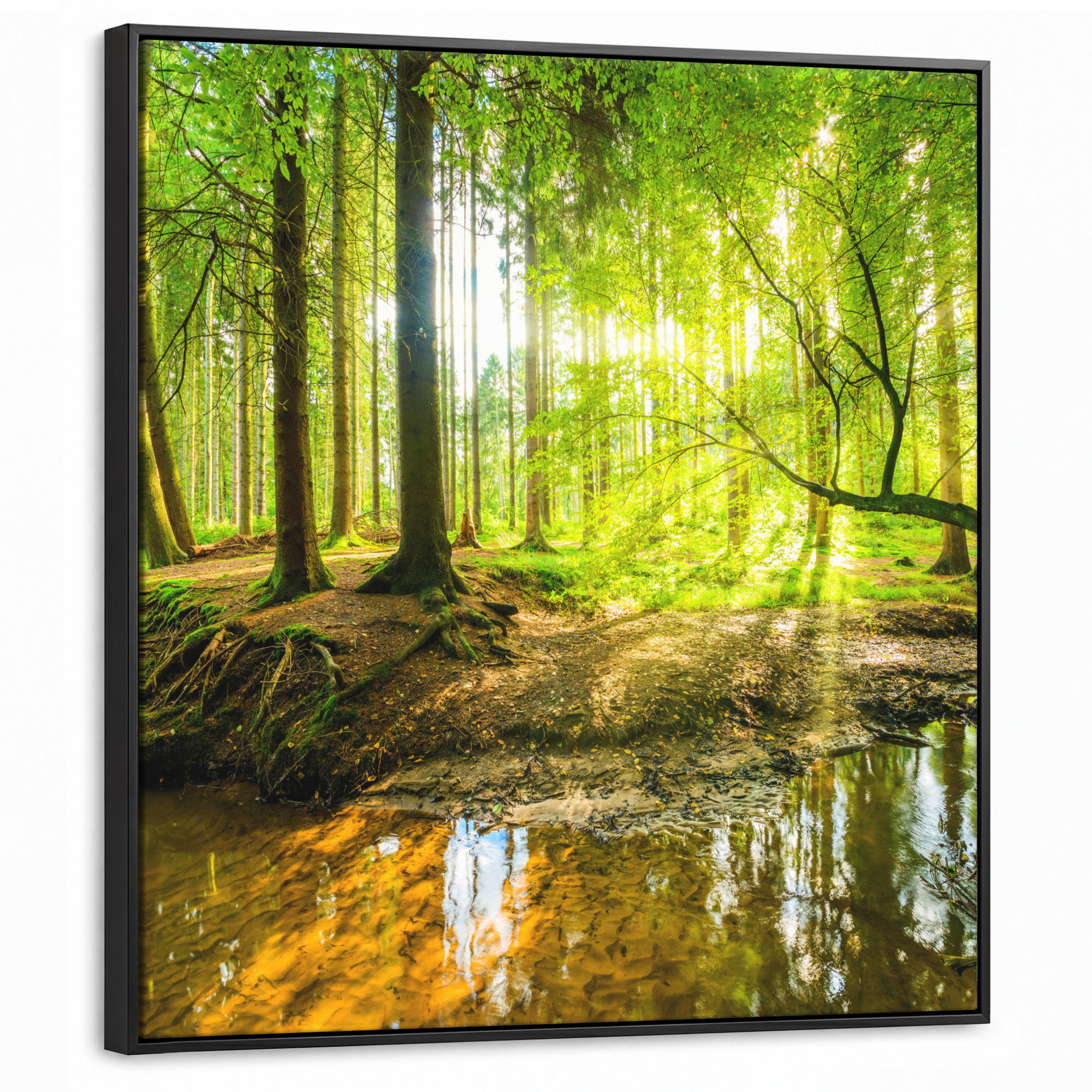 MuchoWow Leinwand Grün 90x90 cm