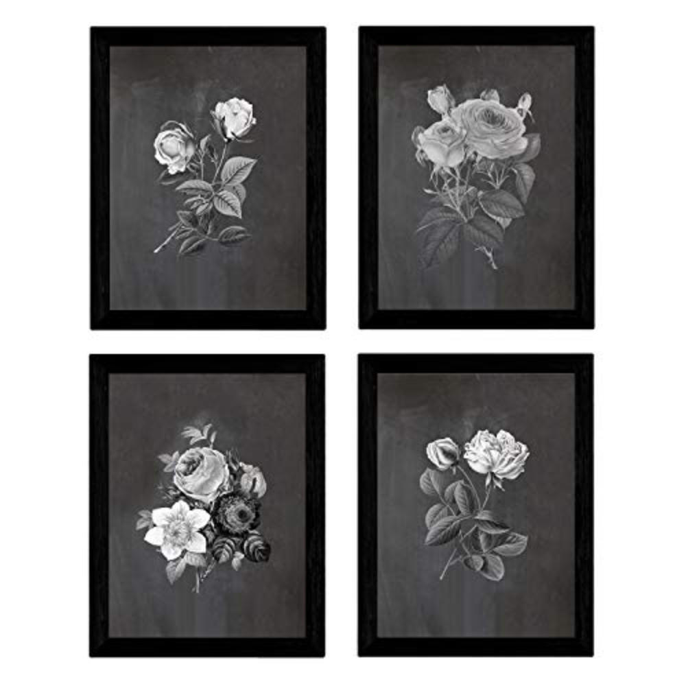 POSTER Set mit 4 Botanische Schwarz Hintergrund Rosen A3 Rahmenlos - Klar, Papier (29.7/3cm) - Nacnic