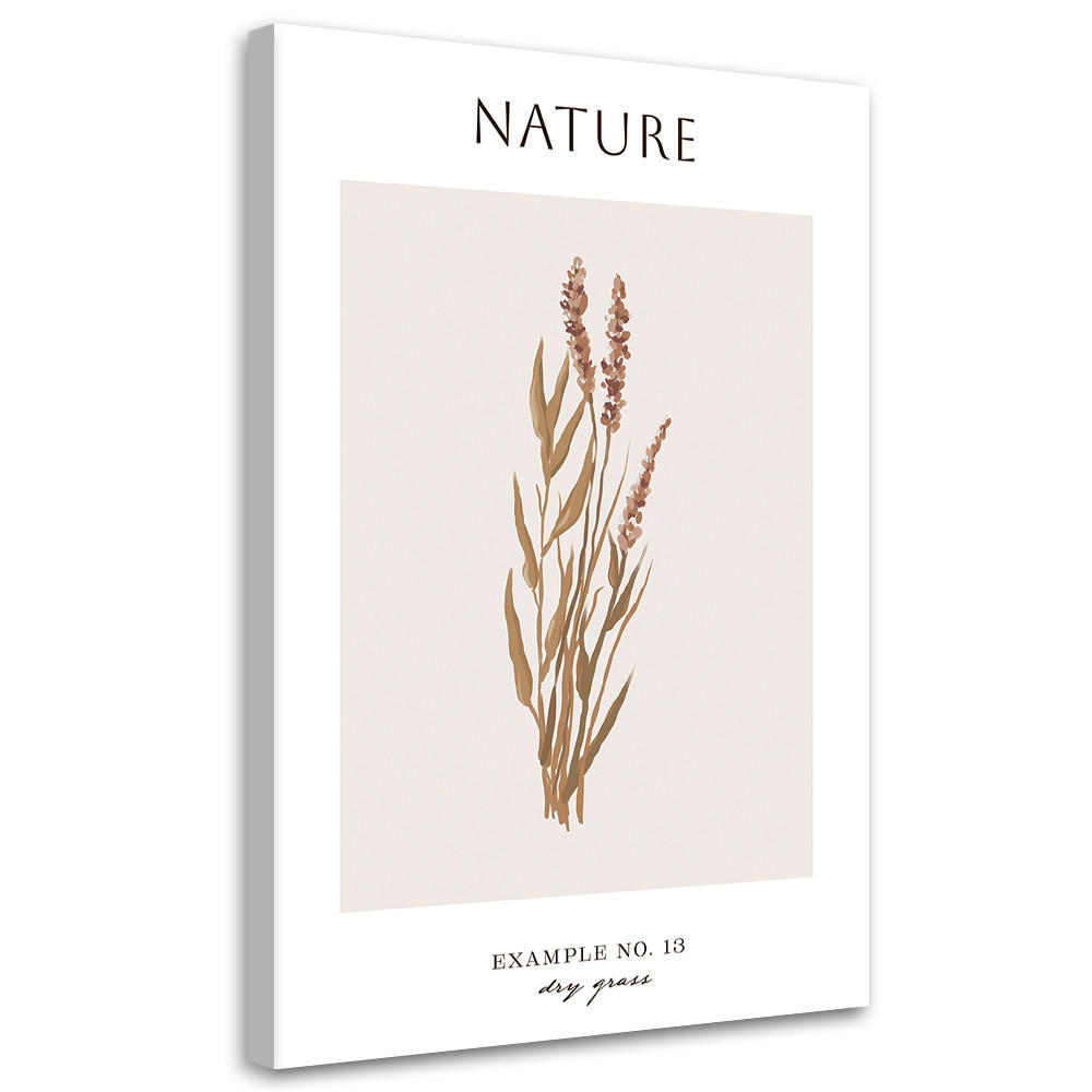 WANDBILD trockenes gras natur - Beige, Textil (40/60cm) - Feeby