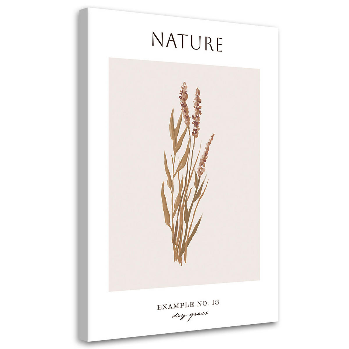 WANDBILD trockenes gras natur - Beige, Textil (40/60cm) - Feeby