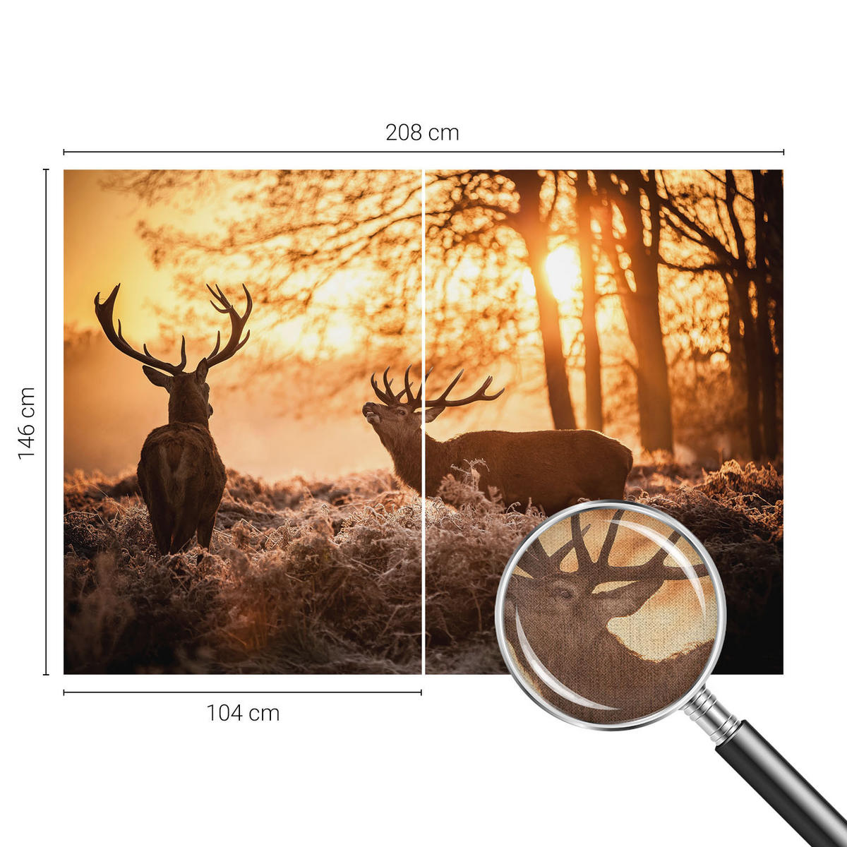 FOTOTAPETE 208x146 cm - Rehe am Morgen - Schwarz, Textil (208/146cm) - Wallfluent