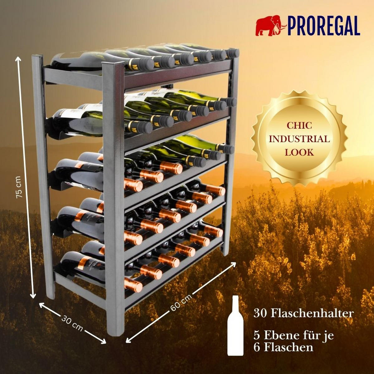 PROREGAL Weinregal TOSKANA 75x60x30 cm 30 Flaschen auf 5 Ebenen Schwarz - Schwarz, Metall (60/75/30cm) - PROREGAL