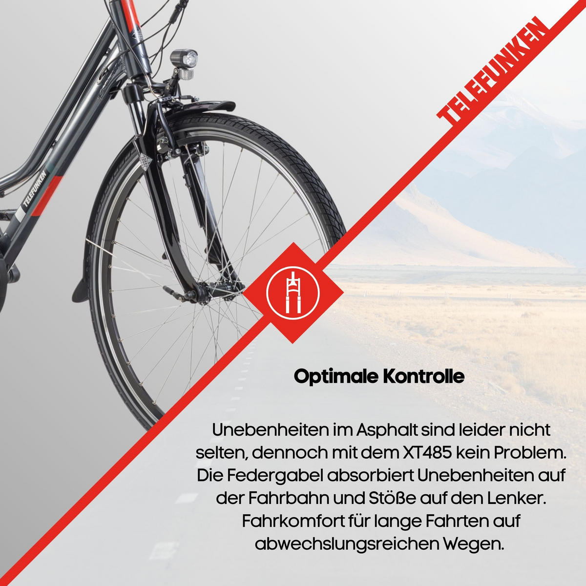 E-BIKE XT485 Trekking Elektrofahrrad 21-Gang Shimano Kettenschaltung, Pedelec, 14,5Ah, 37V Akku - Anthrazit, Metall (112cm) - Telefunken