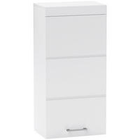 HÄNGESCHRANK Wandschrank mit Tür, Badezimmerschrank mit 2 Ebenen Weiß - Weiß, Holzwerkstoff (24.5/76.8/37.2cm) - HOMCOM
