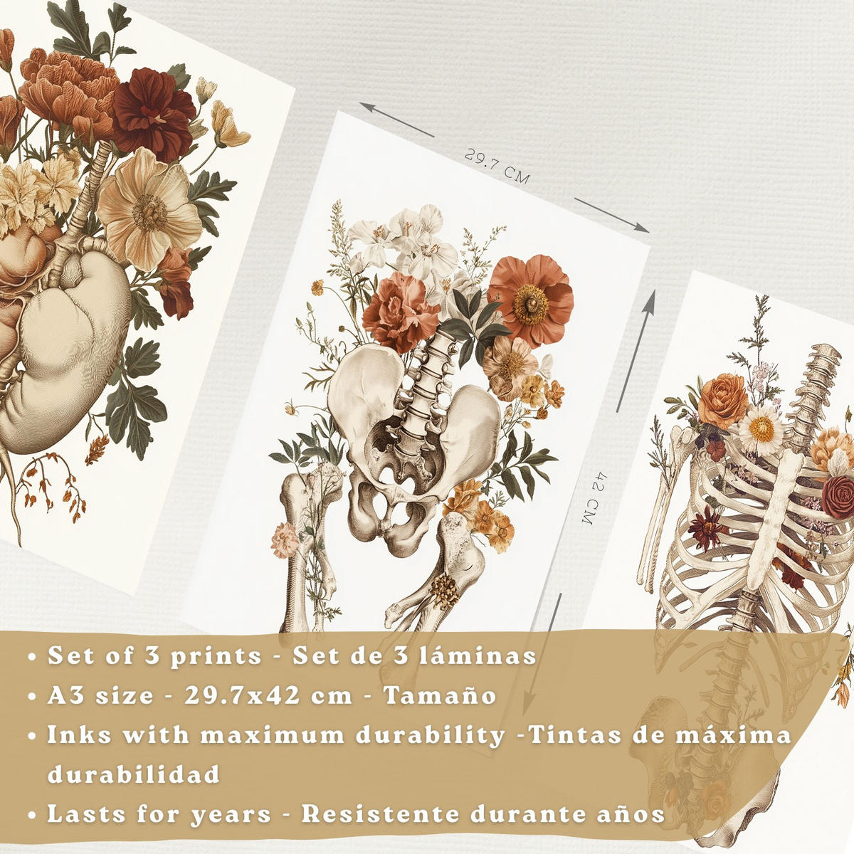 POSTER Set aus 3 Anatomie Mensch Florale Vintage Drucke und Wandbilder mit Herz Brustkorb und Becken Medizinische Wanddekoration Größe Rahmenlos A3 - Klar, Papier (29.7/42/3cm) - Nacnic