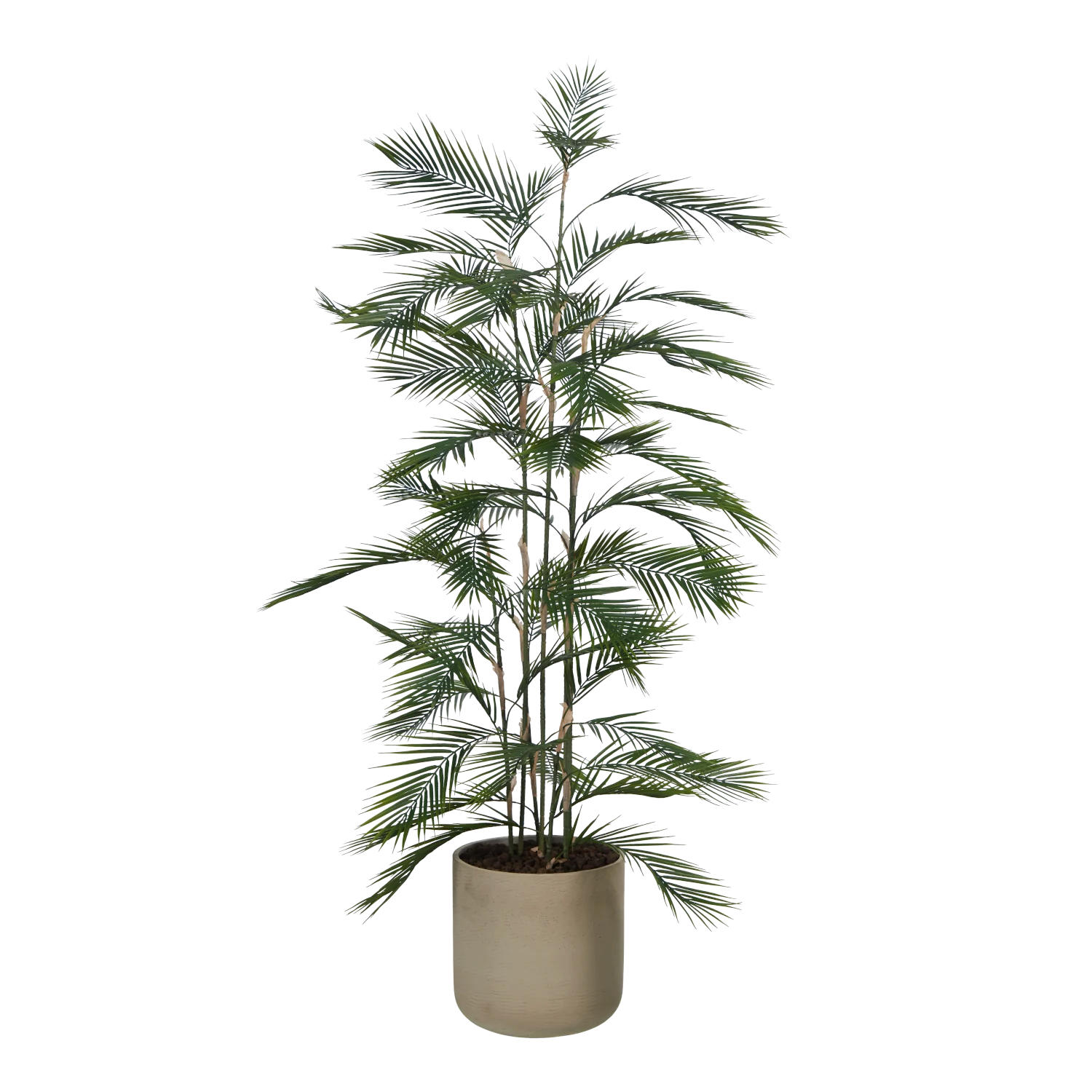KUNSTBAUM Künstliche Bergpalme - Nolte 180 cm - Grün, Kunststoff (180cm) - aplanta