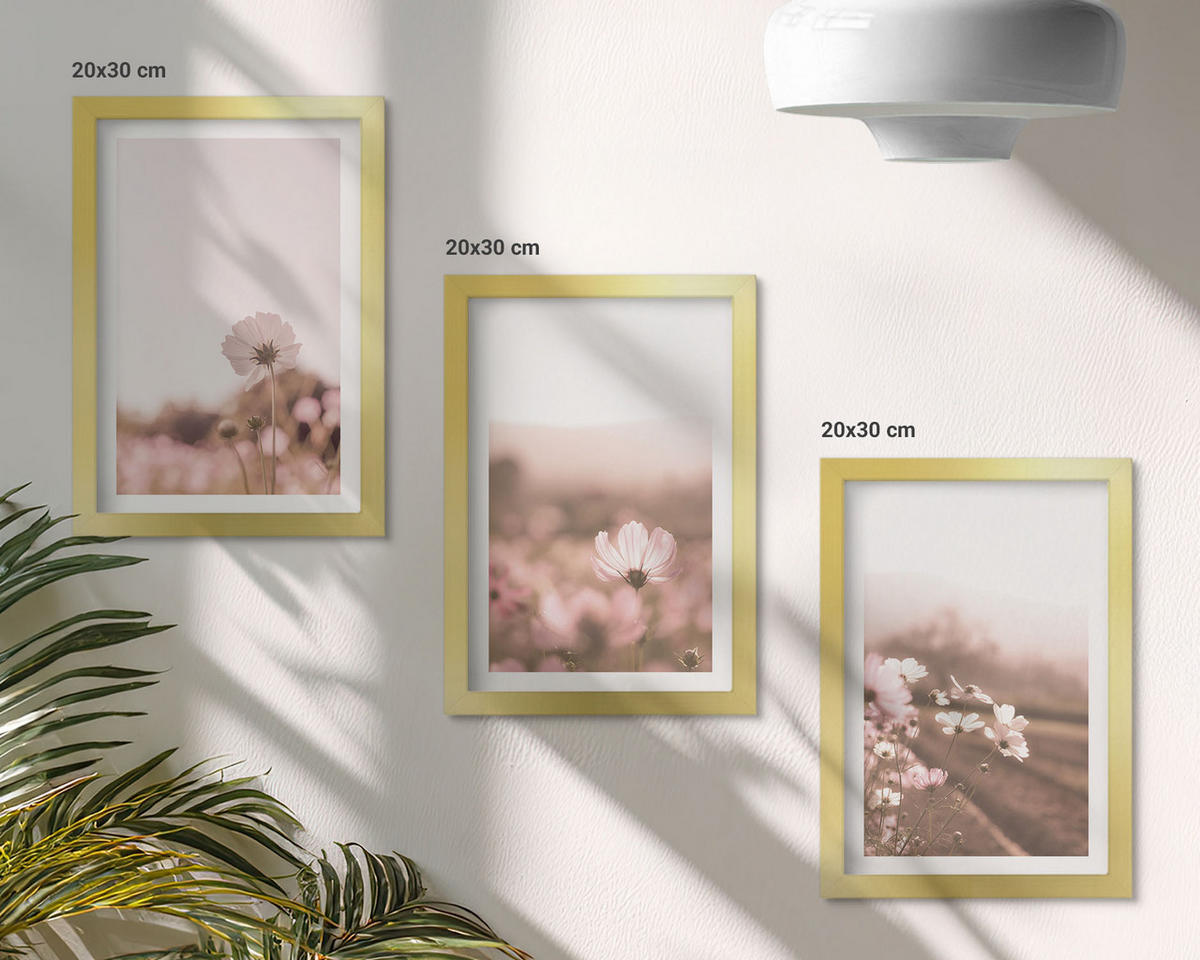 WANDBILDER 3er Set - 20x30 cm Goldrahmen - Sommerlandschaften mit Wildblumenwiesen - Goldfarben, Kunststoff (20/30cm) - ArtPrintCave