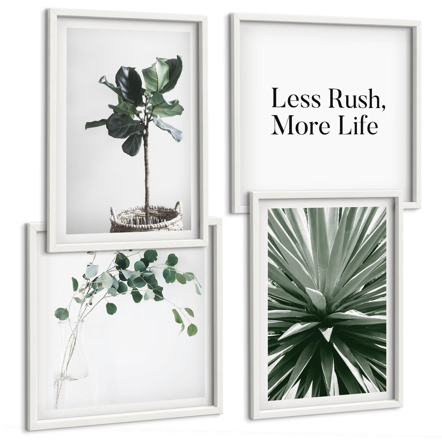 BILDER SET 4er Set - 50x50 cm & 40x60 cm Weißer Rahmen - Minimalismus mit grünen Pflanzen - Weiß, Kunststoff (50/50cm) - TULUP